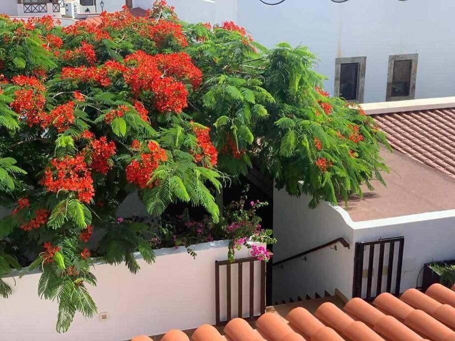 Villa Garoe Puerto de las Nieves エクステリア 写真