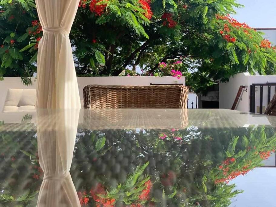 Villa Garoe Puerto de las Nieves エクステリア 写真