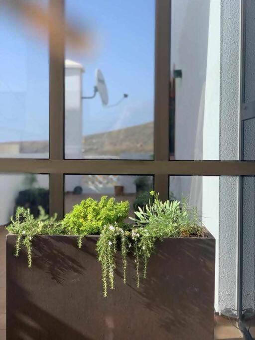 Villa Garoe Puerto de las Nieves エクステリア 写真