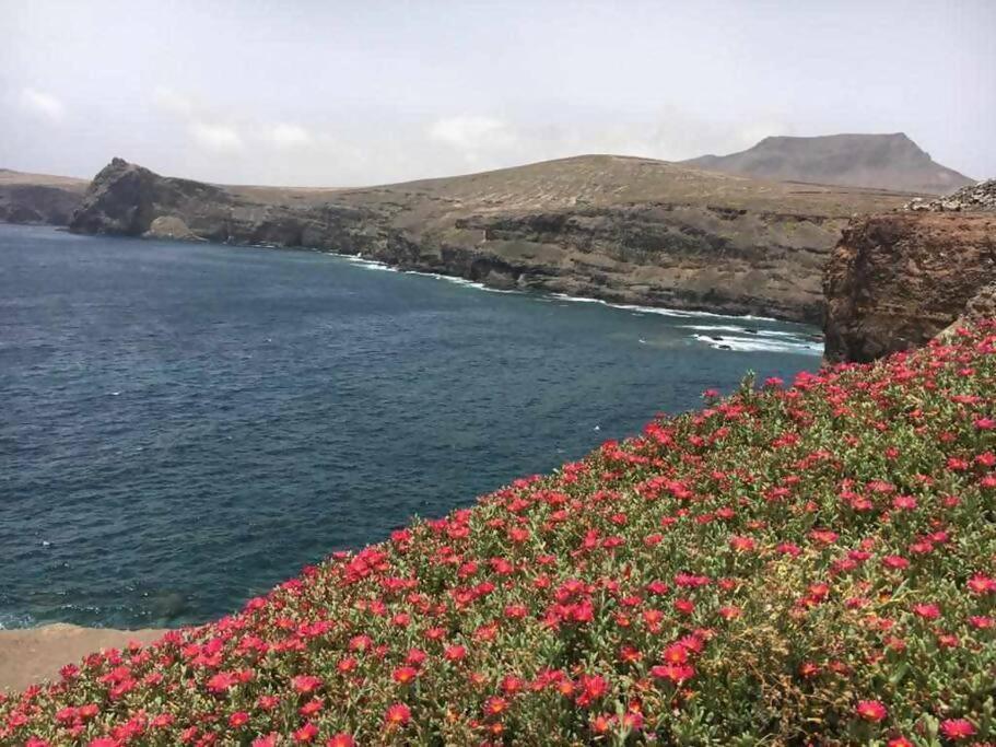 Villa Garoe Puerto de las Nieves エクステリア 写真